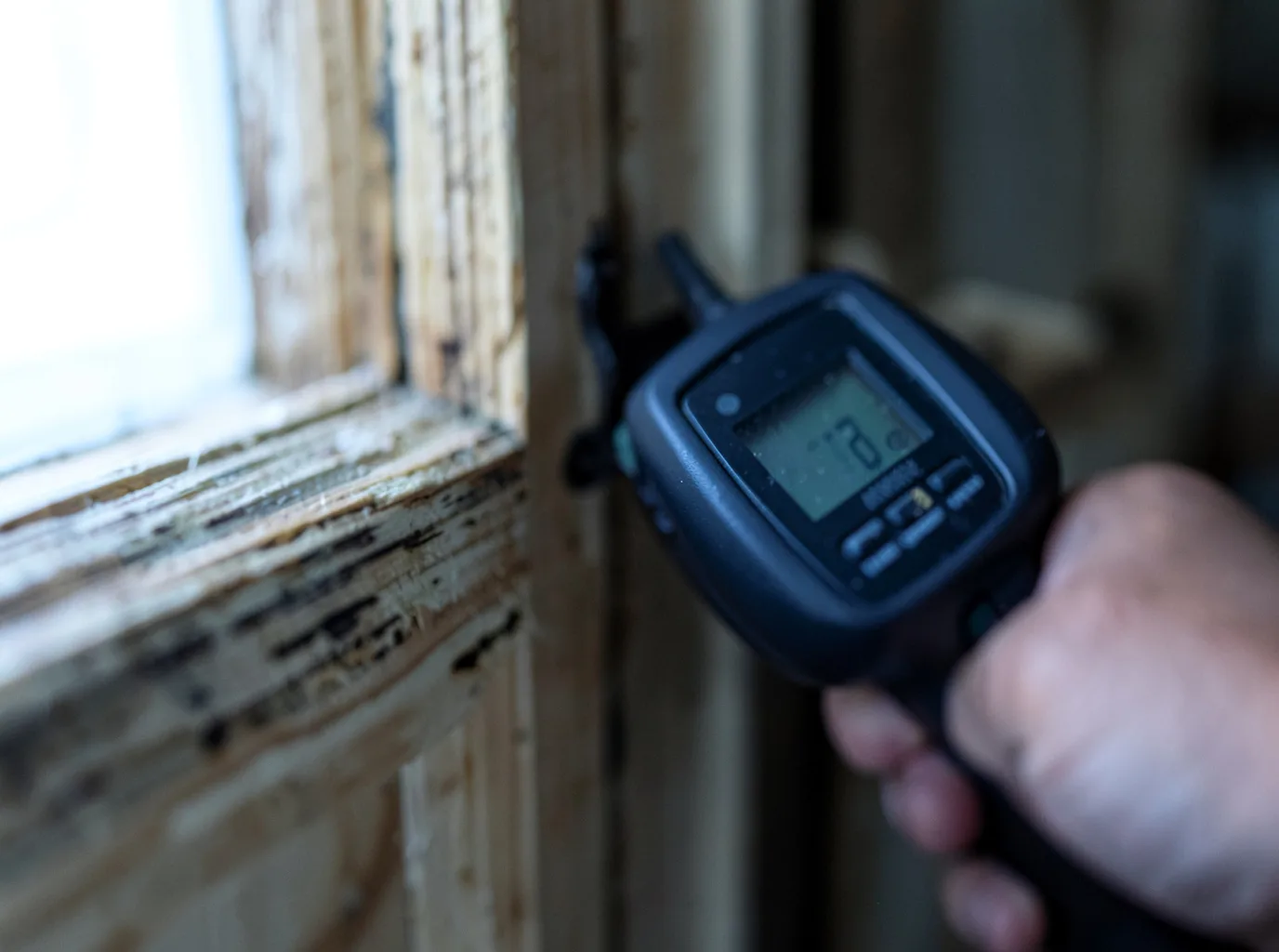 Moisture Inspection And Documentation in Fulshear, TX